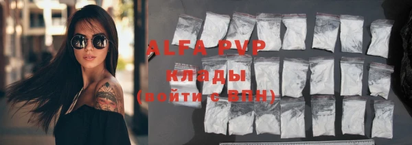 спайс Инта