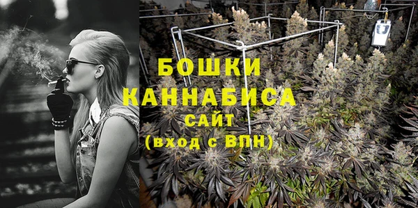 спайс Инта