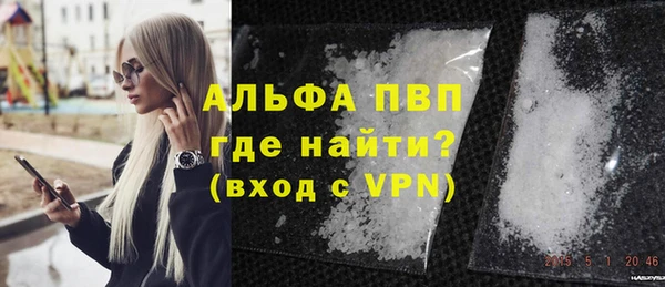 спайс Инта