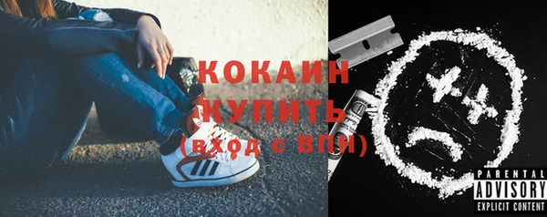 спайс Инта