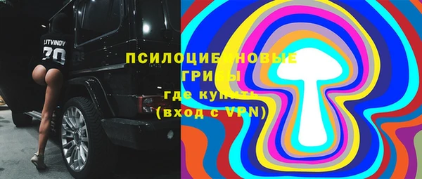 спайс Инта