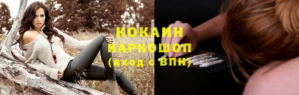 спайс Инта
